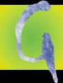 Logo Büro Gall